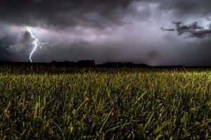 pioggia agricoltura